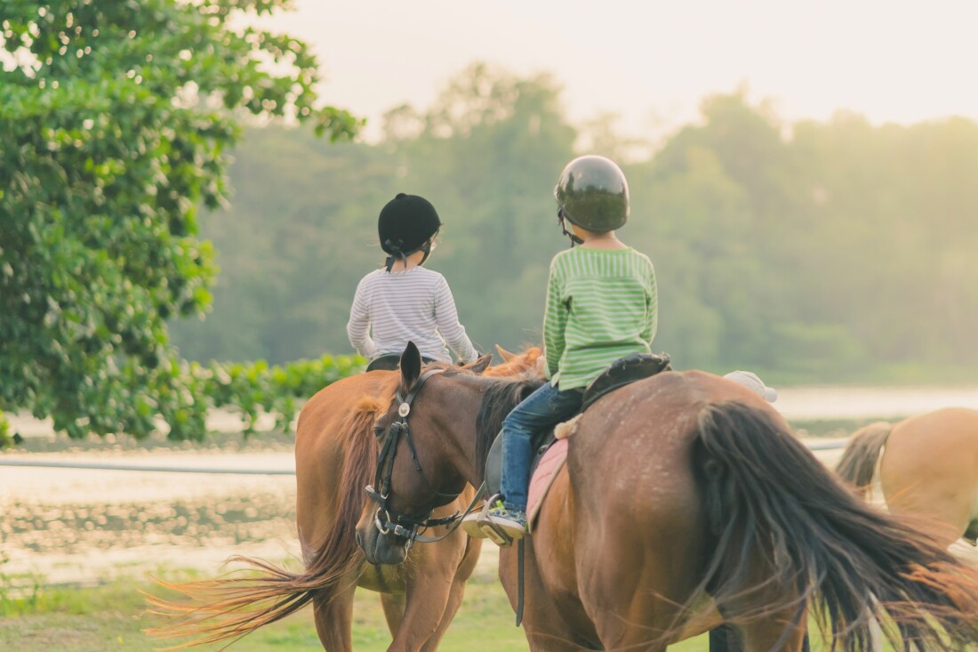 Children on Horses Children on Horses